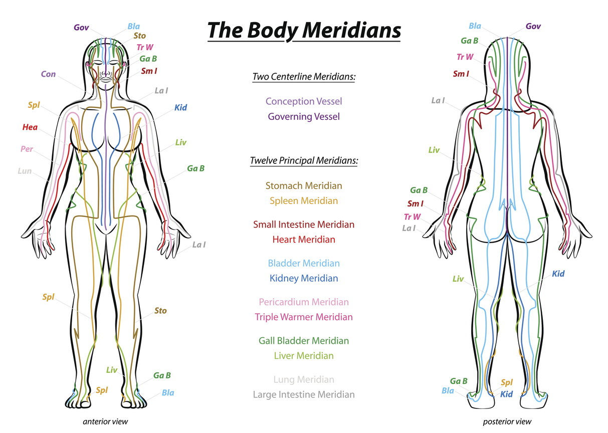 Chart showing the meridians of the body ELEMENTAL SOLES
