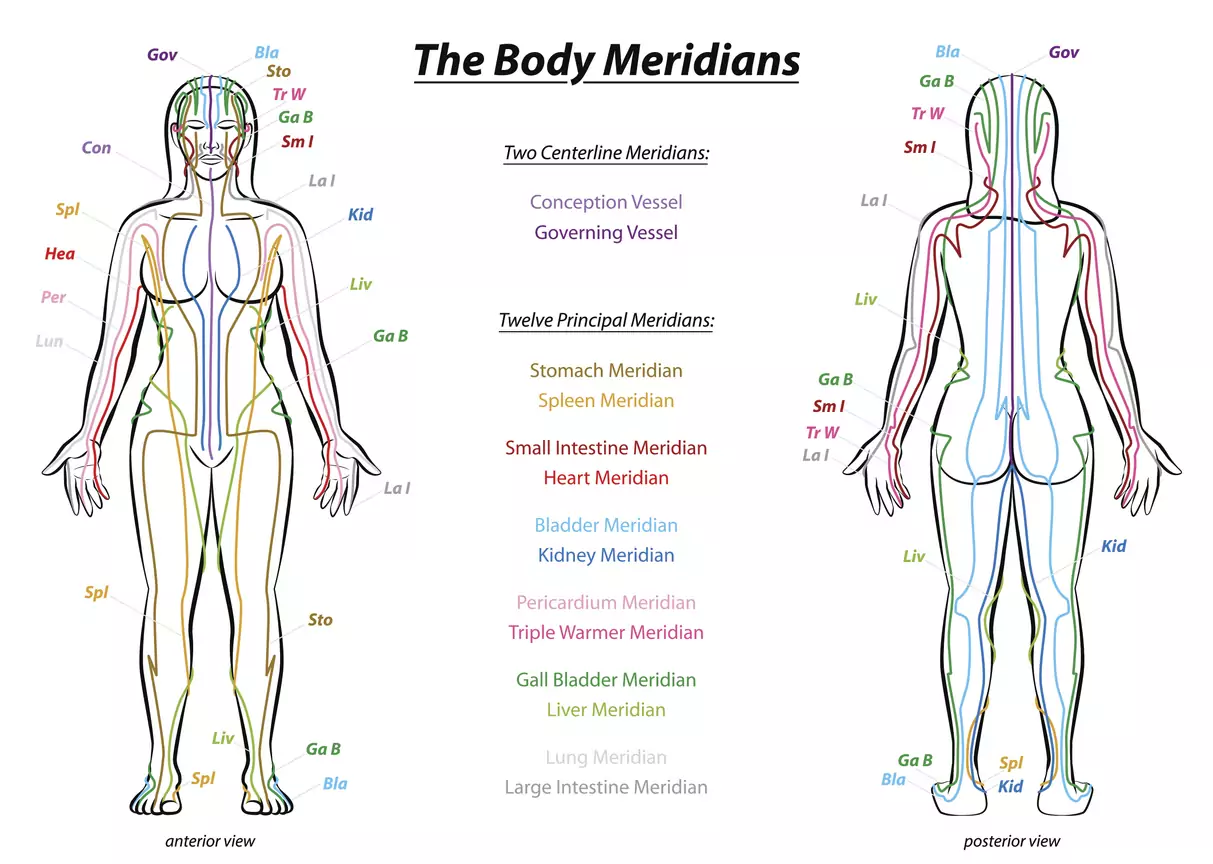 Chart showing the meridians of the body   ELEMENTAL SOLES